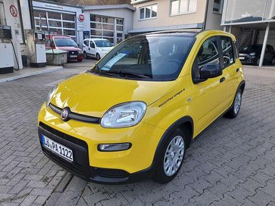 Gebraucht Fiat Panda 69 PS (50 kW) 2024 Bicolore gelb/dach schwarz Kleinwagen