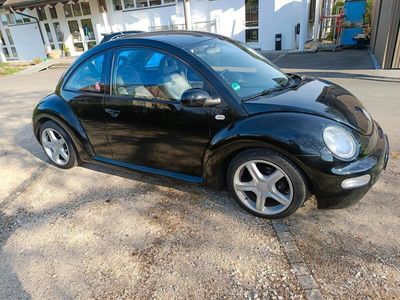VW Beetle