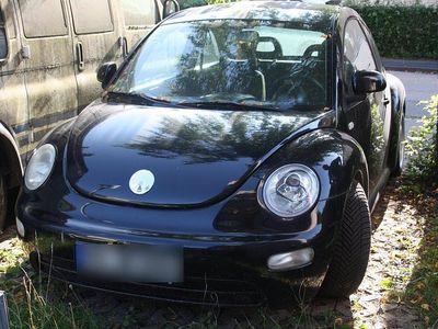 VW Beetle
