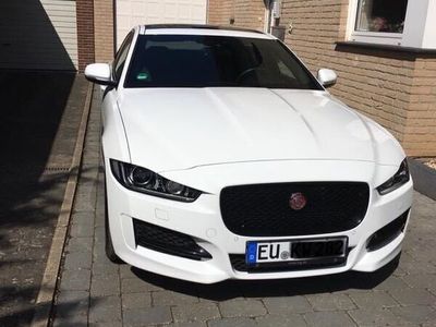 gebraucht Jaguar XE XE20d AWD Aut. R-Sport mit AHK und Panoramadach