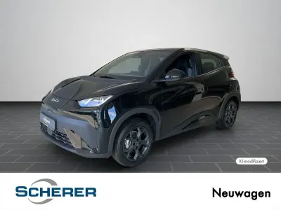 Neu BYD Dolphin Surf Boost 64 kW (88 PS) 2026 Polar night black Kleinwagen