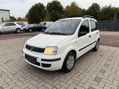 Gebraucht Fiat Panda Active 54 PS (39 kW) 2009 Weiß Kleinwagen