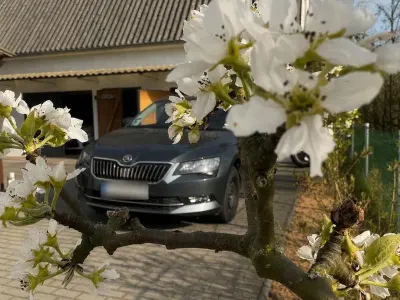 Gebraucht Skoda Superb