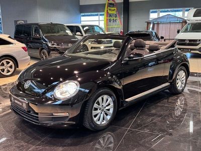 VW Beetle