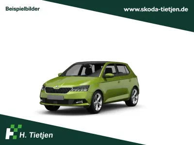 Gebraucht Skoda Fabia Cool Plus 75 PS (55 kW) 2019 Grün Kleinwagen