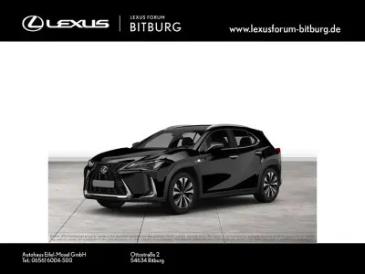 Gebraucht Lexus UX 250h 184 PS (135 kW) 2023 Schwarz SUV