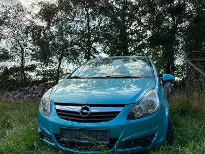 Gebraucht Opel Corsa Edition 87 PS (63 kW) 2010 Grün Kleinwagen