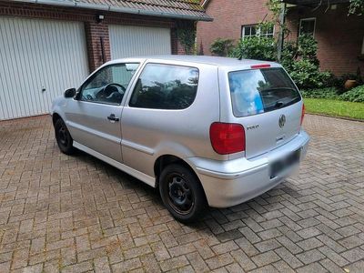 VW Polo