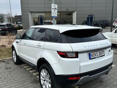 Gebraucht Land Rover Range Rover evoque Pure 150 PS (110 kW) 2015 Weiß SUV