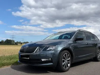Gebraucht Skoda Octavia Drive 116 PS (85 kW) 2017 Grau Kombi