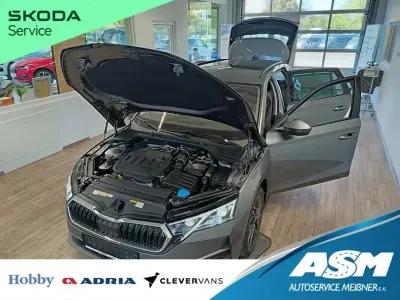 Usata Skoda Octavia Selection 150 CV (110 kW) 2025 Grigio Station wagon