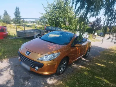 Gebraucht Peugeot 307 CC Sport 136 PS (100 kW) 2006 Orange Cabrio