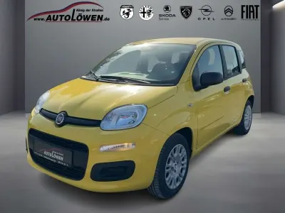 Nouvelle Fiat Panda Pop 65 ch (47 kW) 2026 Jaune Citadine
