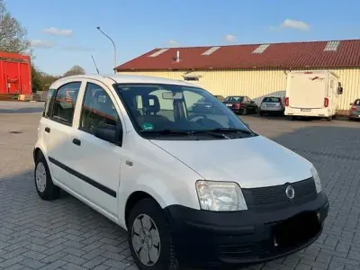 Usata Fiat Panda 54 CV (39 kW) 2009 Utilitaria