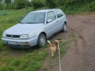 Gebraucht VW Golf III 90 PS (66 kW) 1995 Silber Kleinwagen