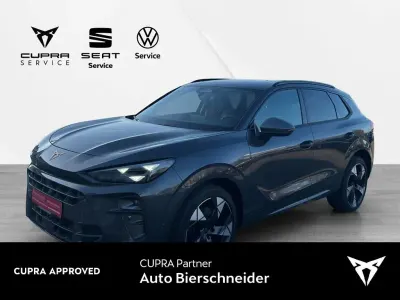 Gebraucht Cupra Terramar