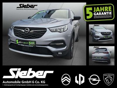 Gebraucht Opel Grandland X 131 PS (96 kW) 2020 Quarz silber SUV