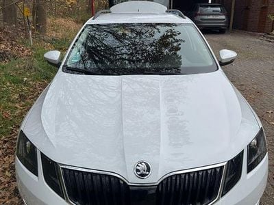 Gebraucht Skoda Octavia Style 150 PS (110 kW) 2019 Weiß Kombi