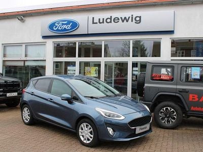 Gebraucht Ford Fiesta Cool & Connect 101 PS (74 kW) 2019 Blau Kleinwagen