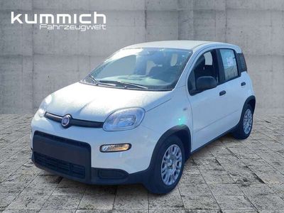 Gebraucht Fiat Panda 69 PS (50 kW) 2024 Gelato weiß (weiß) Kleinwagen