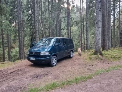 VW T4