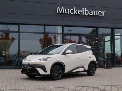 Neu BYD Dolphin Surf Comfort 114 kW (156 PS) 2025 Apricity white Kleinwagen