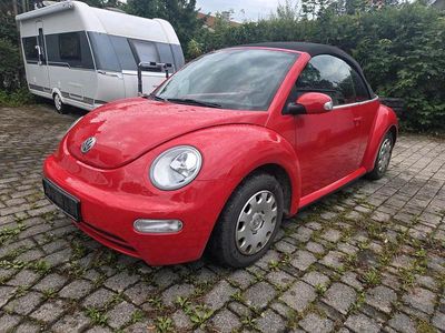 VW Beetle