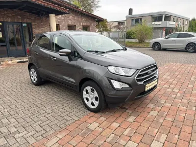 Usado Ford Ecosport Trend 125 CV (91 kW) 2018 Gris SUV