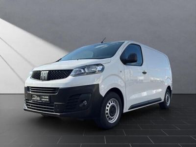 Gebraucht Fiat Scudo 144 PS (105 kW) 2024 Weiß Van