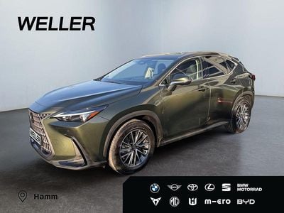 Gebraucht Lexus NX450h+ E-FOUR Executive Line 309 PS (227 kW) 2025 Gruen SUV
