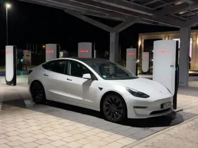 Brugt Tesla Model 3 Performance 377 kW (513 HK) 2021 Hvid Sedan
