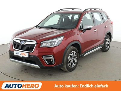 Gebraucht Subaru Forester Trend 150 PS (110 kW) 2020 Rot SUV