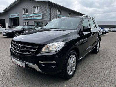 Mercedes ML250