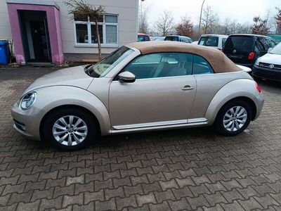 gebraucht VW Beetle Cabriolet Design