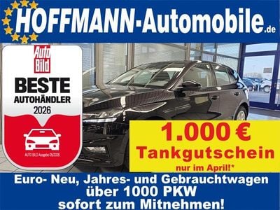 Nouă Skoda Fabia Selection 116 CP (85 kW) 2025 Gri Hatchback