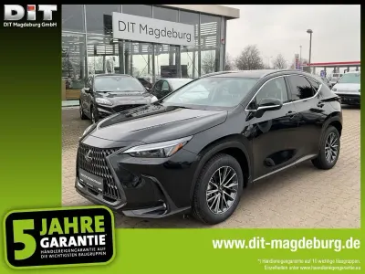 Ny Lexus NX350h Executive Line 243 HK (178 kW) 2025 Sort SUV