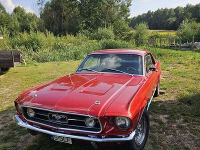 gebraucht Ford Mustang GT 