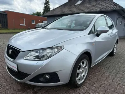 Gebraucht Seat Ibiza Stylance 105 PS (77 kW) 2009 Luna grey Kleinwagen