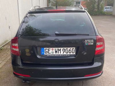 gebraucht Skoda Octavia OctaviaCombi 2.0 TDI CR DPF DSG RS