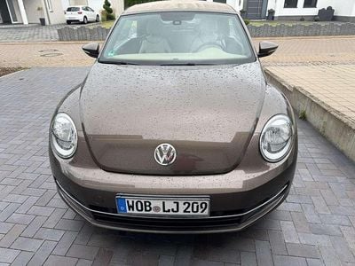 VW Beetle