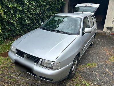 VW Polo