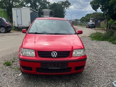 VW Polo