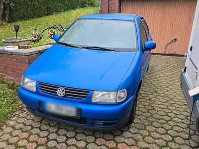 VW Polo