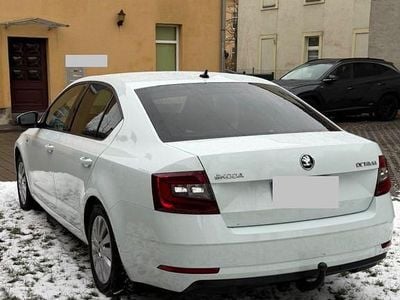 Gebraucht Skoda Octavia Drive 150 PS (110 kW) 2018 Weiß Limousine