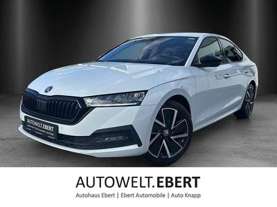 Gebraucht Skoda Octavia Style 150 PS (110 kW) 2021 Weiß Limousine