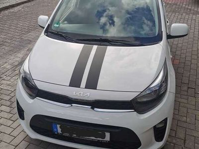 gebraucht Kia Picanto Picanto1.0 Dream-Team Edition