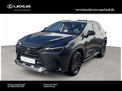 Neu Lexus NX350h Executive Line 243 PS (178 kW) 2025 Grau SUV