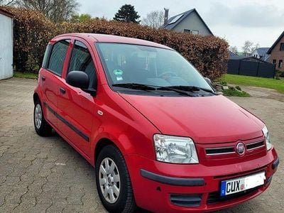 Gebraucht Fiat Panda 60 PS (44 kW) 2010 Rot Kleinwagen