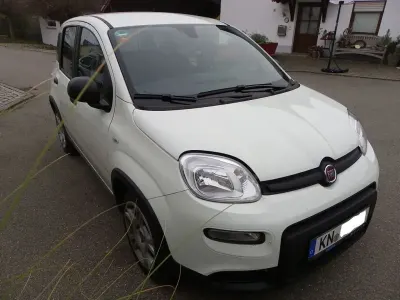 Gebraucht Fiat Panda 69 PS (50 kW) 2024 Weiß Kleinwagen