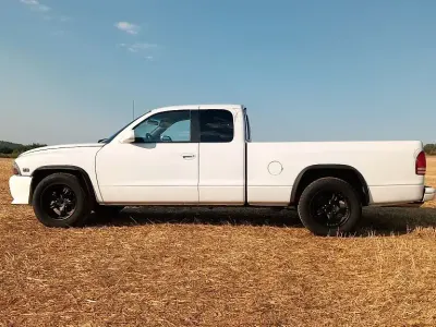 Gebraucht Dodge Dakota 177 PS (130 kW) 1999 Weiß Pickup